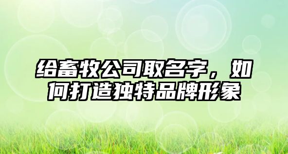 给畜牧公司取名字，如何打造独特品牌形象