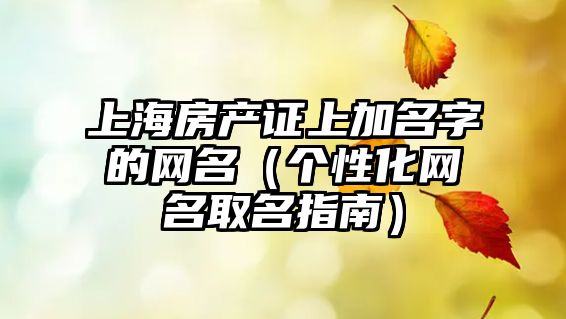 上海房产证上加名字的网名（个性化网名取名指南）