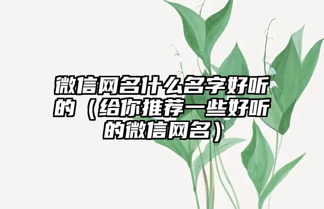 微信网名什么名字好听的（给你推荐一些好听的微信网名）