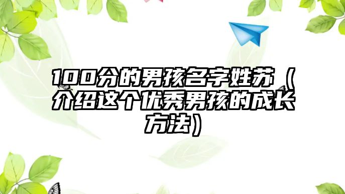 100分的男孩名字姓苏（介绍这个优秀男孩的成长方法）