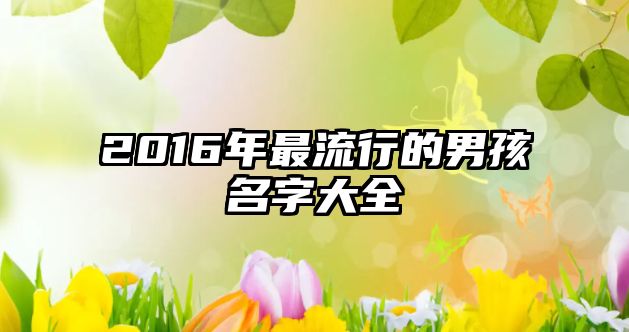 2016年最流行的男孩名字大全