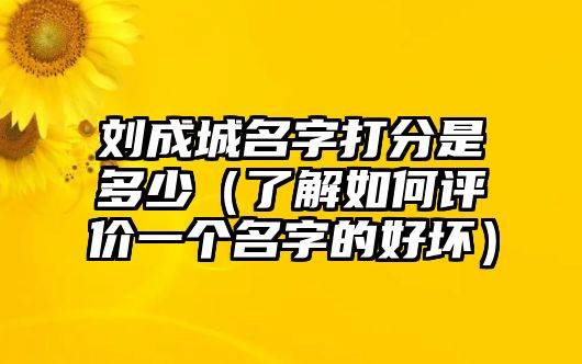 刘成城名字打分是多少（了解如何评价一个名字的好坏）