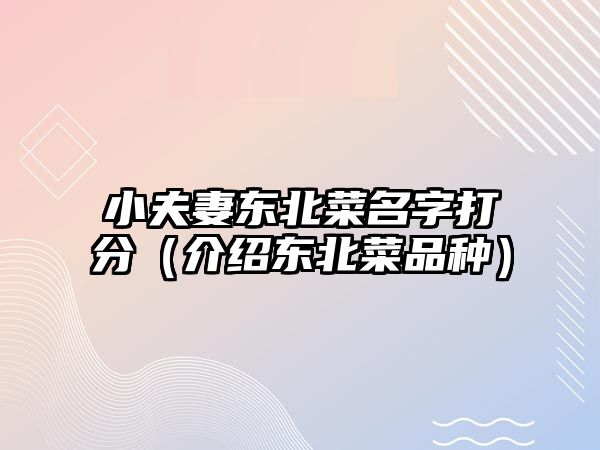 小夫妻东北菜名字打分（介绍东北菜品种）