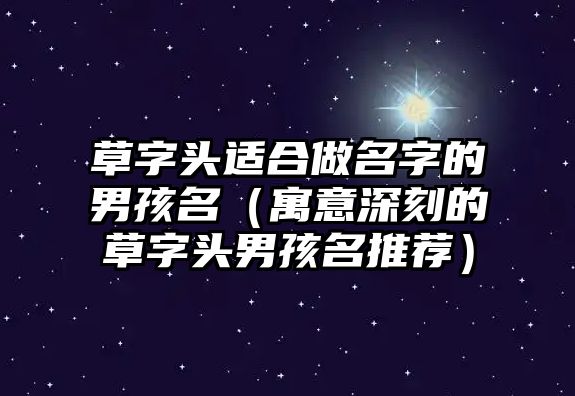 草字头适合做名字的男孩名（寓意深刻的草字头男孩名推荐）