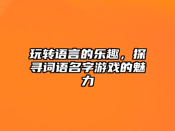 玩转语言的乐趣，探寻词语名字游戏的魅力