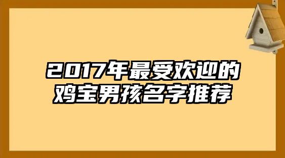 2017年最受欢迎的鸡宝男孩名字推荐