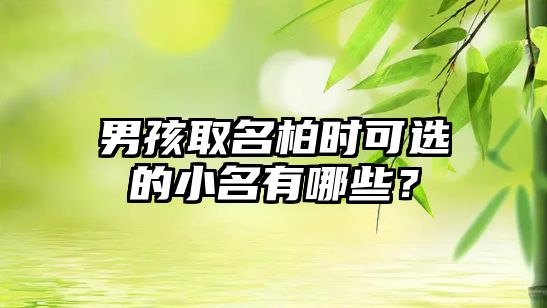 男孩取名柏时可选的小名有哪些？