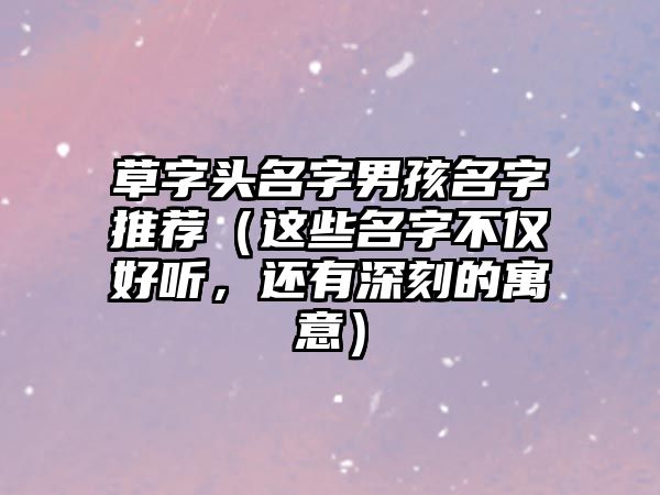 草字头名字男孩名字推荐（这些名字不仅好听，还有深刻的寓意）