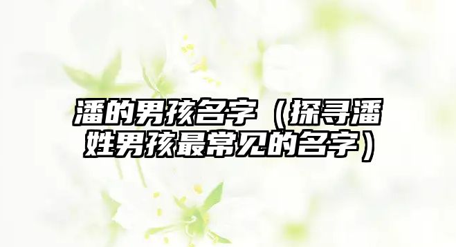 潘的男孩名字（探寻潘姓男孩最常见的名字）