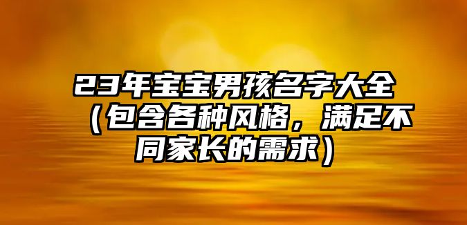 23年宝宝男孩名字大全（包含各种风格，满足不同家长的需求）