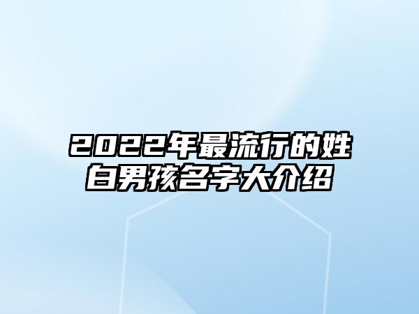 2022年最流行的姓白男孩名字大介绍