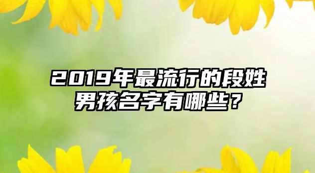 2019年最流行的段姓男孩名字有哪些？