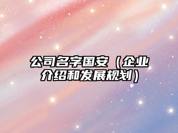 公司名字国安（企业介绍和发展规划）